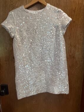 Crewcuts Girl's Short Sleeve Sequin Shift Party Dress sze 14